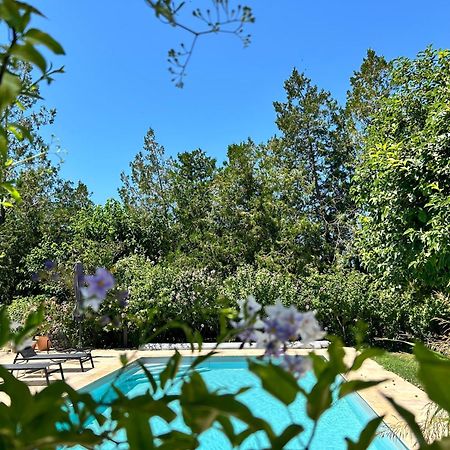 Provenzalisches Landhaus Les Martinets Am Fusse Des Mont Ventoux Villes-sur-Auzon Kültér fotó